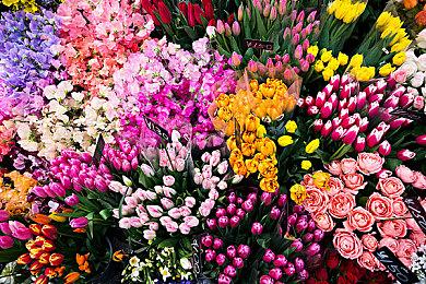 运输模拟管理游戏《火车山谷：世界》8＆8推出